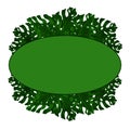 Oval frame for text from exotic, green monstera leaves. Idea for poster, postcard, flyer. Tropical leaves