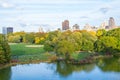 Oval lawn in Central park Royalty Free Stock Photo