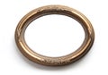 Oval photo frame Royalty Free Stock Photo
