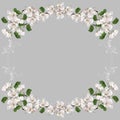 Oval-shaped art frame with apple flowers Royalty Free Stock Photo