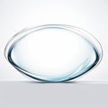 an oval shaped glass object on a white background