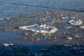 Oval shaped ice floes melting on Lake Erie, Ontario, Canada.