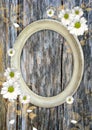 Oval vintage frame on a wood wall