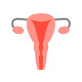 Ovary and cervix, medical and hospital related flat design icon