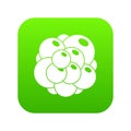 Ovary icon digital green