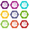 Ovary icon set color hexahedron