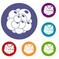 Ovary icons set