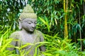 Oveergrown Buddha garden statue Royalty Free Stock Photo