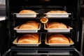 oven bake loaves of bread, with oven door open and heat escaping