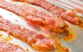 Oven baked bacon Royalty Free Stock Photo