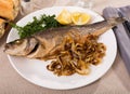 Oven baked sea bass fish Royalty Free Stock Photo