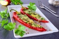 Oven cooked red paprika stuffed with cheese, garlic and herbs on a white plate with parcley and cherry tomatoes an Royalty Free Stock Photo