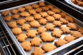 oven full of baking trays with unbaked dog biscuits