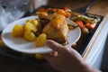 oven grilled chicken legs with delicious curry sauce served on white plate, baked potatoes with meat, red paprika, green capsicum Royalty Free Stock Photo