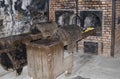 Oven for incineration in Auschwitz - Birkenau camp Royalty Free Stock Photo