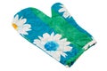 Oven Mitt (glove) - Potholder