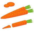 Oven-ready carrots Royalty Free Stock Photo