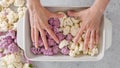 Oven-roasted cauliflower florets recipe. Cauliflower, white and purple in baking pan Royalty Free Stock Photo