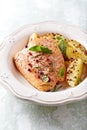 Oven-roasted salmon fillet with baked potatoes Royalty Free Stock Photo