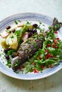 Oven-Roasted Trout with Vegetables and Arugula Salad Royalty Free Stock Photo