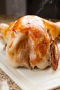 Oven Roasted Turkey fresh out of oven Royalty Free Stock Photo