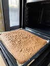 Oven .Tray of sponge cake Royalty Free Stock Photo