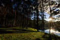 over fair light from the sun and water reflection and shadow of the pine trees in afternoon at the camping area, Pang-Ung Mae Royalty Free Stock Photo