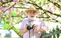 over floral background. old man watch young plants. photographer man take sakura blossom photo. Cherry blossoming garden