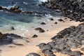 Over 50 Green Sea Turtles basking in the san near the Pacific Ocean in Maui, Hawaii Royalty Free Stock Photo