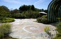 Over grown courtyard with mosiac pavement