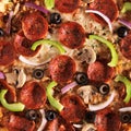 Over head view of pizza with supreme toppings