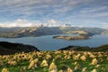 Lyttleton harbour, Christchurch, New Zealand