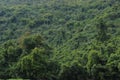 Over 50 percent of Laos landscape is Primary forest. Royalty Free Stock Photo