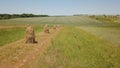 Over Picturesque haycocks on yellow field. Aerial fast fly