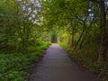 Down a narow dark treelined lane to a small wooden bridge