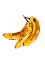 Over Ripe Bananas Isolated Royalty Free Stock Photo