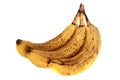 Over ripe bananas isolated on white background Royalty Free Stock Photo