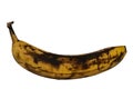 Over ripen blackish single banana isolated on white