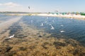 Over the sea along the beach gulls fly