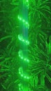 Over shine green light and green leaves, abstract, background Royalty Free Stock Photo