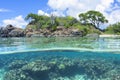 Over under Caribbean island and reef