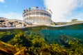 Over Under Photo of the Avalon Underwater Park on Catalina Island, California