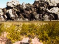 Over-under split shot of clear water in tidal pool