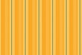 Over vector lines textile, aztec fabric vertical stripe. Outside seamless background texture pattern in amber and light colors