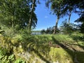 Over the wall view of, Fewston Reservoir in, Fewston, Otley, UK Royalty Free Stock Photo