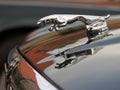 Jaguar car leaper bonnet ornament Royalty Free Stock Photo