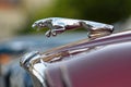 Jaguar car leaper bonnet ornament Royalty Free Stock Photo