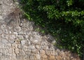 Wall in Herceg Novi. Lots of stone and greenery. Montenegro.