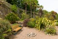 Overbecks Edwardian house gardens in Salcombe Devon England UK a tourist attraction