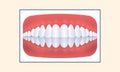 Overbite Human Teeth Icon On Yellow